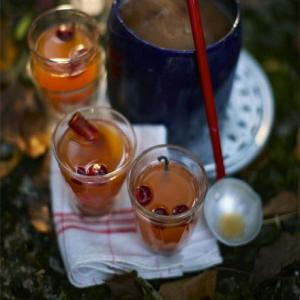 Mulled pear & cranberry punch image