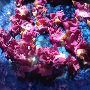 Dry Rose Petals for Cooking, Advieh, (or crafts)_image