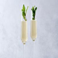 Evan's Champagne Julep Recipe_image