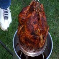 Apple and Tea Brine, Injected, Rubbed and Deep Fried Turkey image