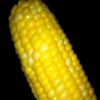 Oven Corn On The Cob !_image