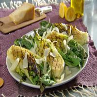 Grilled Simple Caesar Salad image