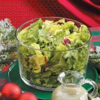Mixed Herb Salad Dressing_image
