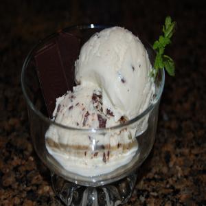 Unbelievable Healthy Andes Mint Chocolate Chip Ice Cream Machine_image