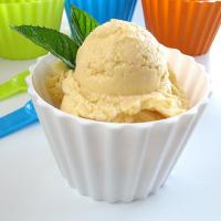 Instant Fruit Ice Cream image