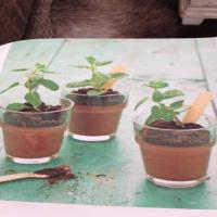 Potted Chocolate Mint Puddings Recipe - (4.3/5)_image