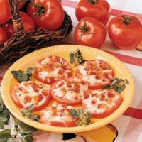 Tomato Delight_image