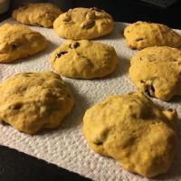 Cranberry-Pumpkin Cookies image
