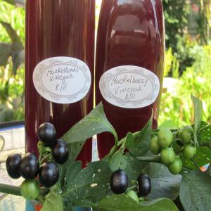 Huckleberry Vinegar! or Any Berries Desired_image