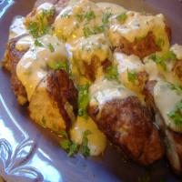Awesome Paprika Chicken With Creamy Gravy! image