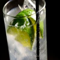 Tequila and Tonic image