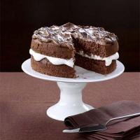 Light & fluffy chocolate mocha cake image