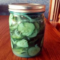 Amish Refrigerator Bread & Butter Pickles image