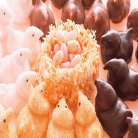 Chocolate-Coated Marshmallow Chicks_image