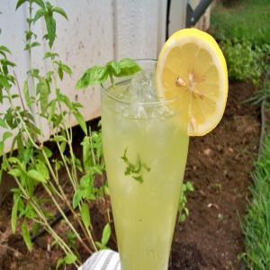 Basil Lemonade image