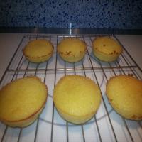 Coconut Flour Agave Nectar Muffins_image