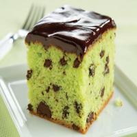 Mint-Chocolate Pudding Cake image