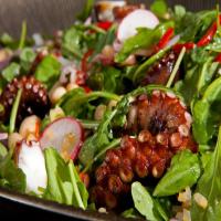 Charred Octopus and White Bean Salad_image