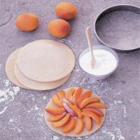 Individual Apricot Tarts_image