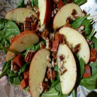 Spinach Salad With Chorizo and Apples_image