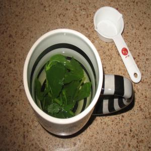 Garden Mint Tea image