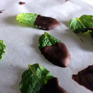 Chocolate-Covered Mint Leaves_image