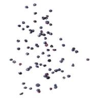Oven-Dried Blueberries image