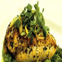 Saffron Chicken Breasts with English Pea Purée, Pea Shoots, and Mint image