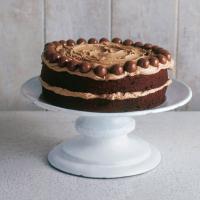 Chocolate Malteser Cake_image