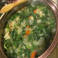 Chicken and Turnip Soup_image