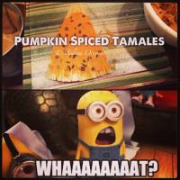 Pumpkin Spiced Tamales Recipe - (4.7/5)_image