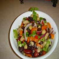 Bean Salad and Sun-Dried Tomato Dressing_image