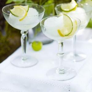 Gin & tonic sorbet image