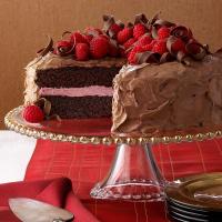 Chocolate Cake with Raspberry Filling image