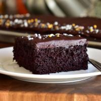 Dark Chocolate Sheet Cake with Dark Chocolate Frosting image