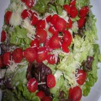 Red Lettuce Salad_image