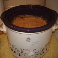 Crock Pot; Meaty Cheese Dip_image