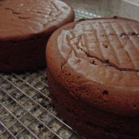 Double-layer Chocolate Cake image