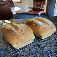 Quick and tasty bread using sourdough discard image