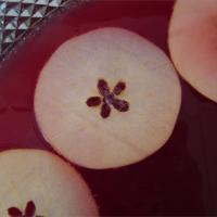 Apple Orchard Punch_image