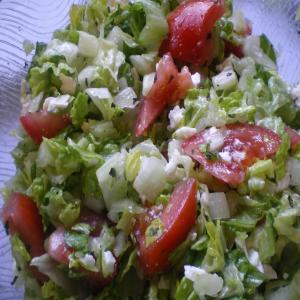 Greek Salad Dressing and Hummus Ala the Red Fez_image