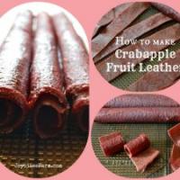 How to Make Crabapple Fruit Leather_image