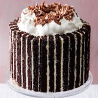 Triple-Chocolate Ice Cream Cake image