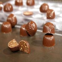 Chocolates with Praline Filling_image