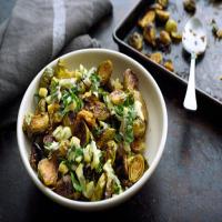 Honey-Roasted Brussels Sprouts With Harissa and Lemon Relish Recipe - (3.8/5) image