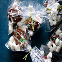 Easy Hot Chocolate Spoons_image