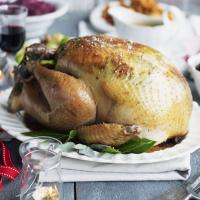 Lemon & herb-basted simple roast turkey_image