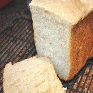 Sourdough French Bread - Abm (Amish Bread Starter) image