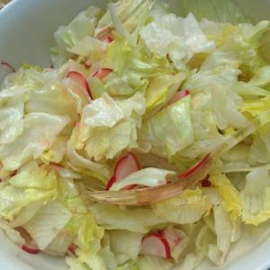Iceberg Lettuce Salad with Radishes_image