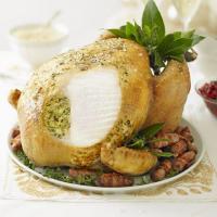 Herb-roast turkey_image